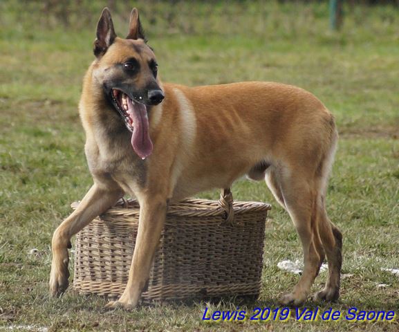 2019 ring val de saone val3.jpg